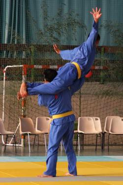 Viet Vo Dao, GRT et Coupe de France