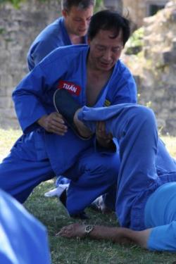 bordeaux vovinam viet vo dao maitre tuan bordeaux vovinam viet vo dao maitre tuan