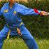 arts martiaux vovinam viet vo dao bordeaux double couteaux