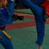 arts martiaux vovinam viet vo dao bordeaux coup de pied circulaire