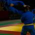 art martial vovinam viet vo dao Ciseaux volants