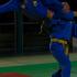 arts martiaux vovinam viet vo dao Ciseaux volants