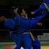 arts martiaux vovinam viet vo dao Ciseaux volants