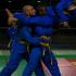 art martial vovinam viet vo dao Ciseaux volants