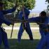 art martiaux vovinam viet vo dao bordeaux bâton