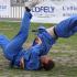 arts martiaux vovinam viet vo dao saut de main