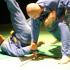 arts martiaux vovinam viet vo dao bordeaux machette
