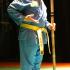 arts martiaux vovinam viet vo dao bordeaux bâton