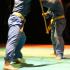 art martiaux vovinam viet vo dao bordeaux bâton