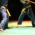 art martiaux vovinam viet vo dao bordeaux bâton