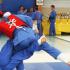 arts martiaux vovinam viet vo dao bordeaux Ciseau inversé
