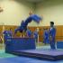 arts martiaux vovinam viet vo dao acrobaties