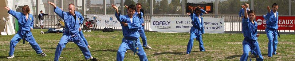 vovinam technique