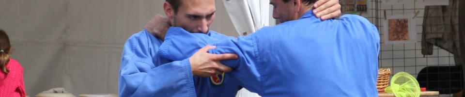 vovinam vat