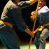 arts martiaux vovinam viet vo dao bordeaux bâton